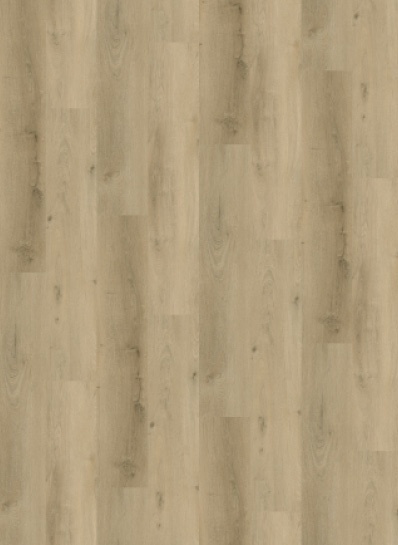 product-image-753