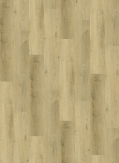 product-image-754