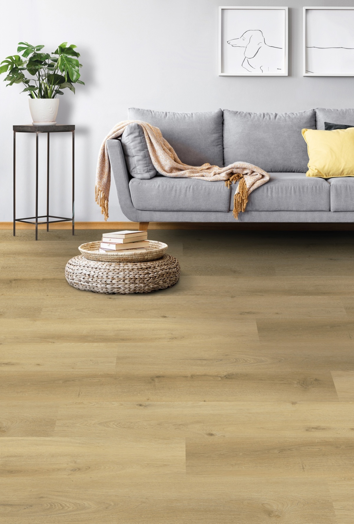 product-image-754