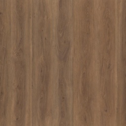 Robusto Warm Brown