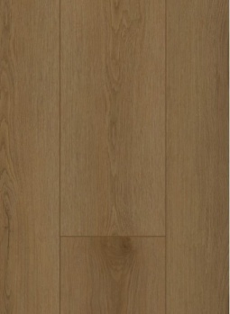 Firmfit Silent 7503 Sierra Brown click