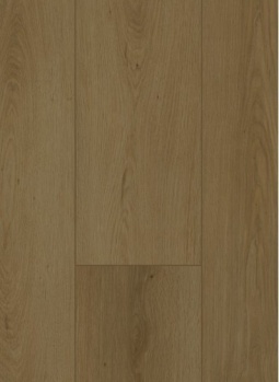 Firmfit 6702 Summerfield Cinnamon