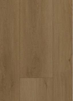 Firmfit 6703 Summerfield Sand
